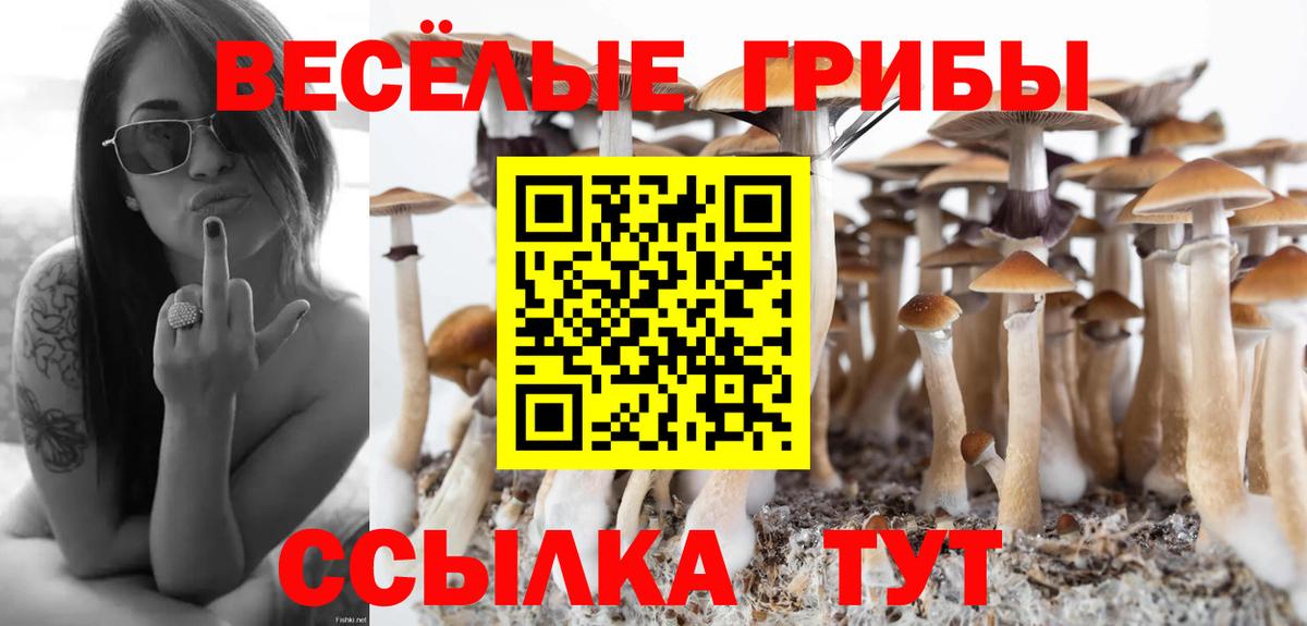 Псилоцибиновые грибы Cubensis  Псилоцибиновые грибы GOLDEN TEACHER  Новоалтайск  Вход с VPN 