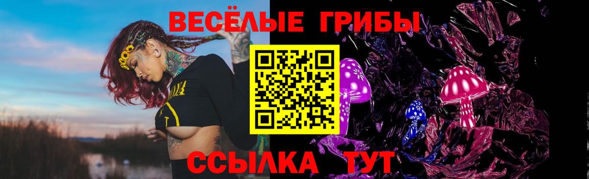 Псилоцибиновые грибы Cubensis Новоалтайск